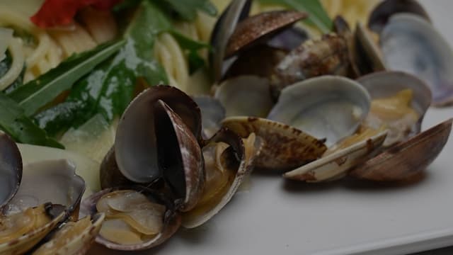 Spaghettoni alle vongole - Aquarium Fish Restaurant