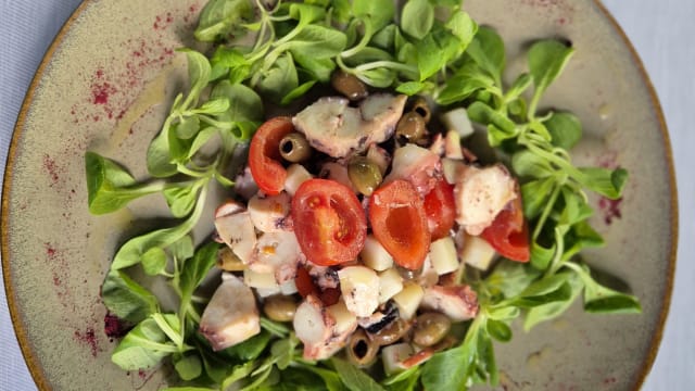 Insalata di polpo e patate, olivelle taggiasche, pomodorini e basilico  - Torpedo, Turin