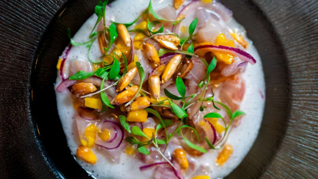 Ceviche de corvina  - Vituco Gourmet, Alicante