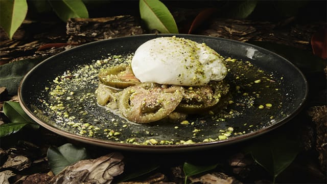 Burrata inyectada de pesto sobre tartar de berenjena asada, tomate kumato y tierra de pistacho - Babel, Madrid