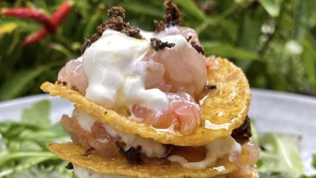 Tacos scomposto con tartare di gambero rosso, tartufo fresco e stracciatella di Andria  - Enjoy