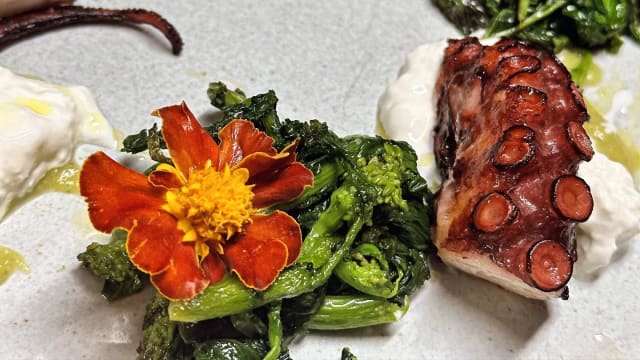 Polpo verace alla griglia, broccoli , stracciata di bufala - Ristorante Mediterraneo Salerno