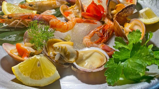 Raw seafood - Piazza del Forte