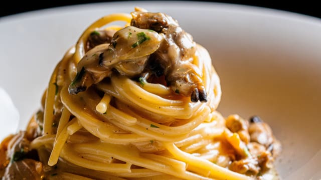 Spaghetti - Ventõ, Civitavecchia