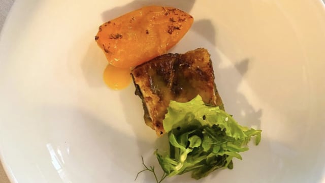 Anguilla alla brace, gel d'agrumi, albicocca grigliata e misticanza - Ristorante Collina