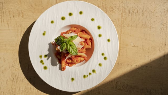 Pennette di Gragnano al pomodoro biologico ``De Tursi``, basilico e pecorino - Bocconissimo