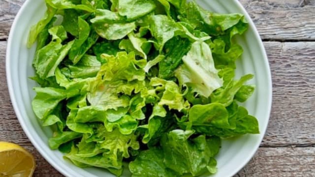 Salade verte - Amazonas, Geneva