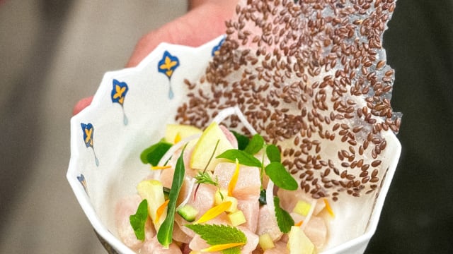 Ceviche di salmerino con mela rossa, cetriolo e lino - Orso Grigio