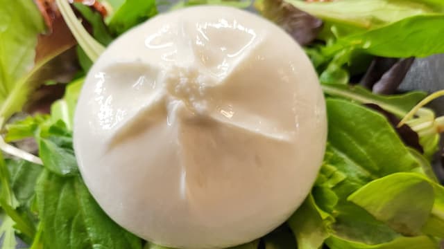 Burrata al Tartufo - Palle d'Oro, Florence