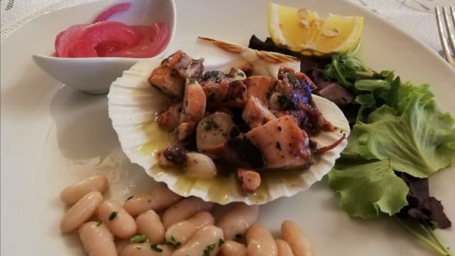 Insalata di Polpo, Totani e fagioli cannellini - Ristorante Orsini