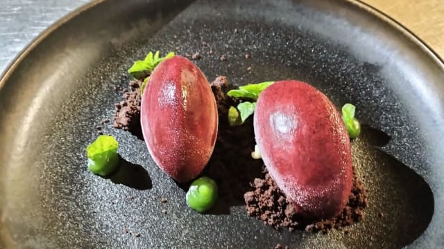 Sorbetto ai frutti di Bosco  - La Filanda Ristorante in Valmadrera, Valmadrera