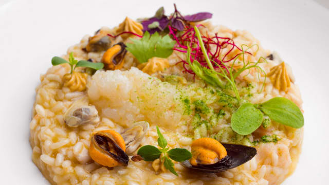 Risotto carnaroli al ragù di mare bianco mantecato, all'olio d'oliva - Novotel Caserta Sud Bistrot