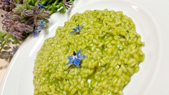 Risotto alla Borraggine - Agriturismo Ca' Bionda