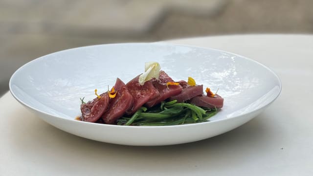 Sashimi de atún balfegó con judía tierna - Jardín del Alma - Hotel Alma Barcelona, Barcelona