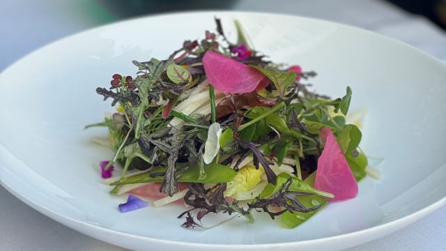 Ensalada de primavera - Jardín del Alma - Hotel Alma Barcelona, Barcelona