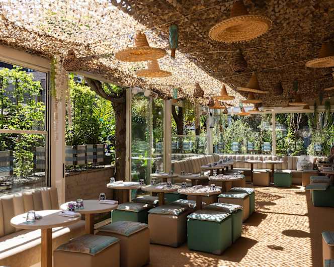 Mezcalito Chelsea - 0