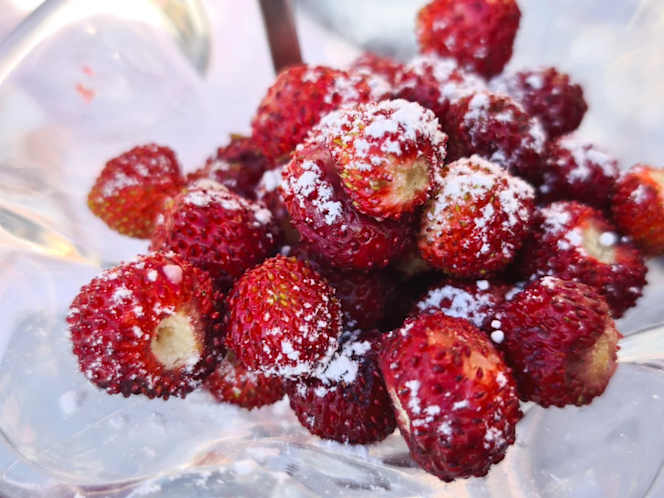 La Grotta Bifronte - 0