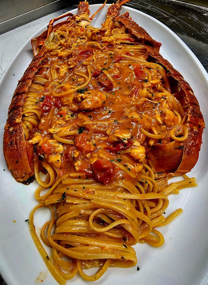 Il Riccio Yachting - 2