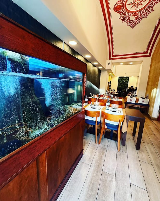 Mobland Restaurante - 0