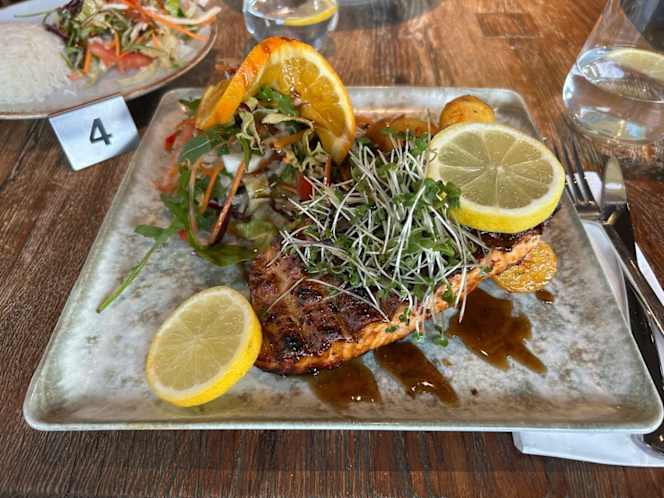 Olive Tree Turkish Mediterranean Restaurant & Bar - 4