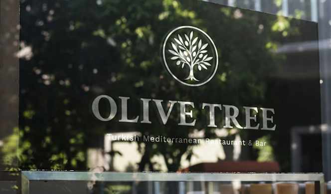 Olive Tree Turkish Mediterranean Restaurant & Bar - 0