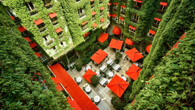 La Cour Jardin – Hôtel Plaza Athénée - 6