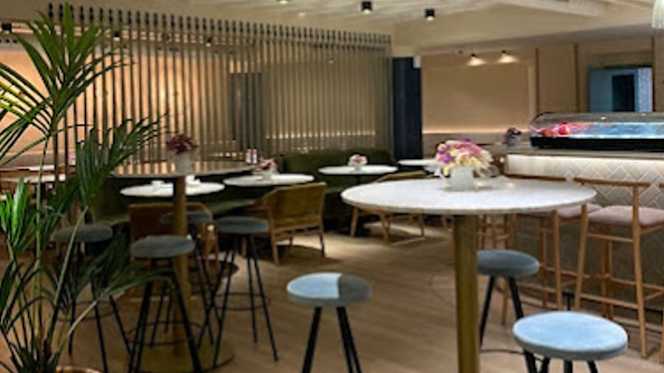 Singular Plaza Ayuntamiento - 3