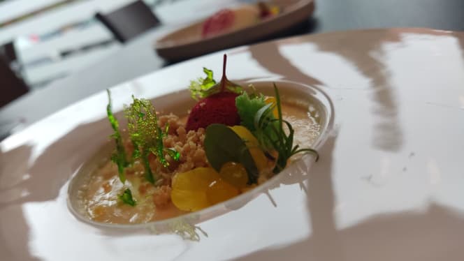 The Soul “democratical food” - 4