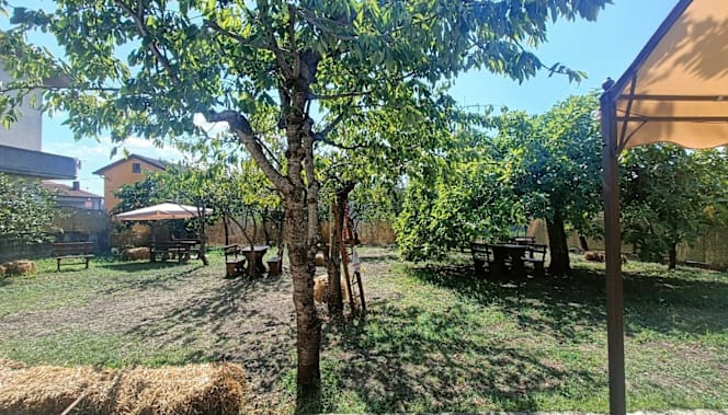 Nonna Ionna · Trattoria Popolare - 1