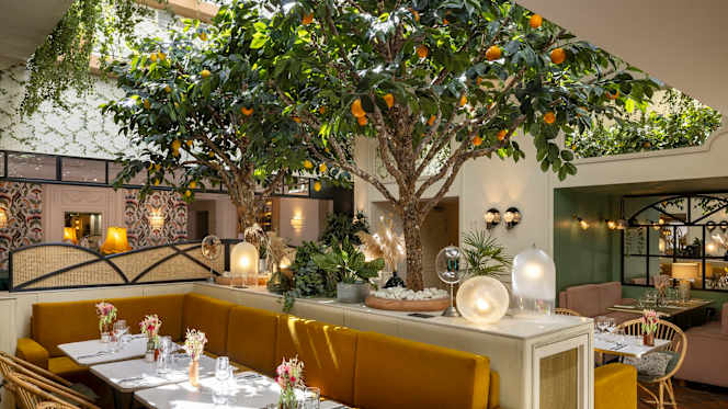 Arboré - Restaurant - Paris