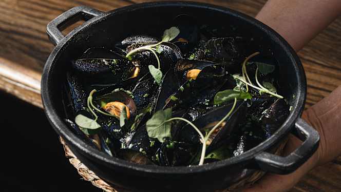 Agua - Barcelona - 2