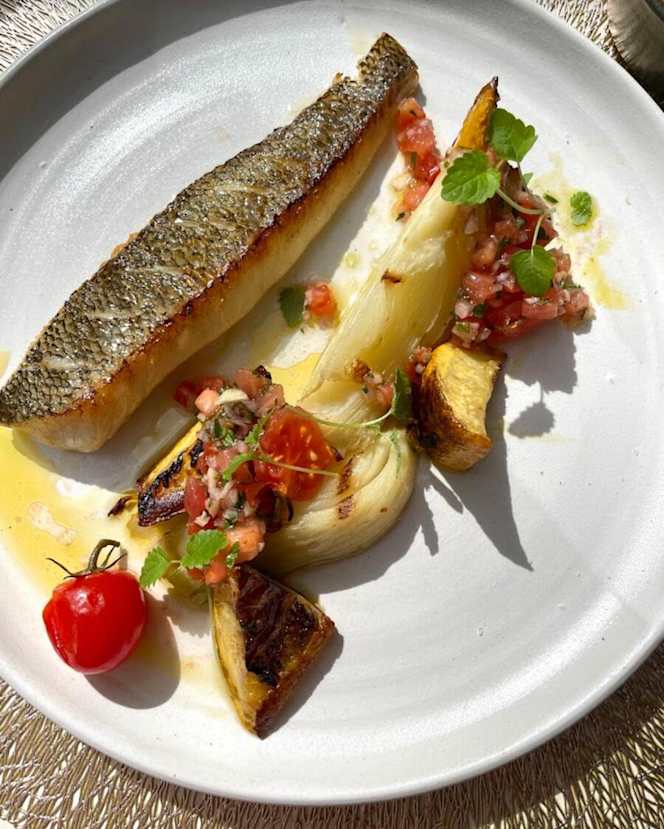 Le Cypres Chauve - 8