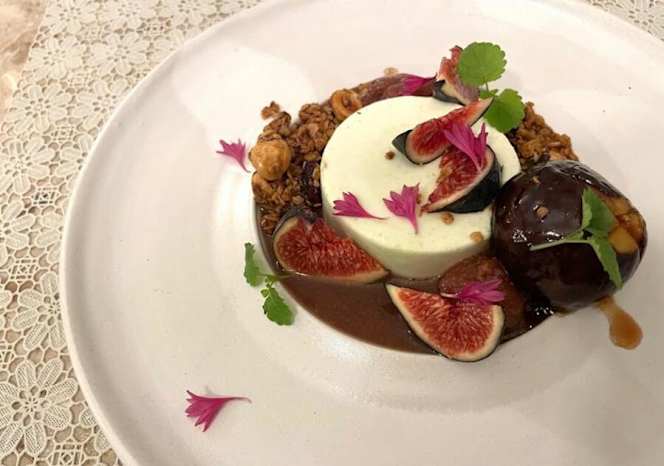 Le Cypres Chauve - 5