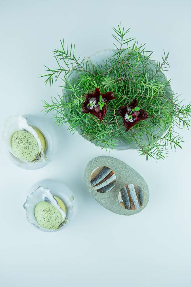 Marcelle - Domaine de Verchant - 6