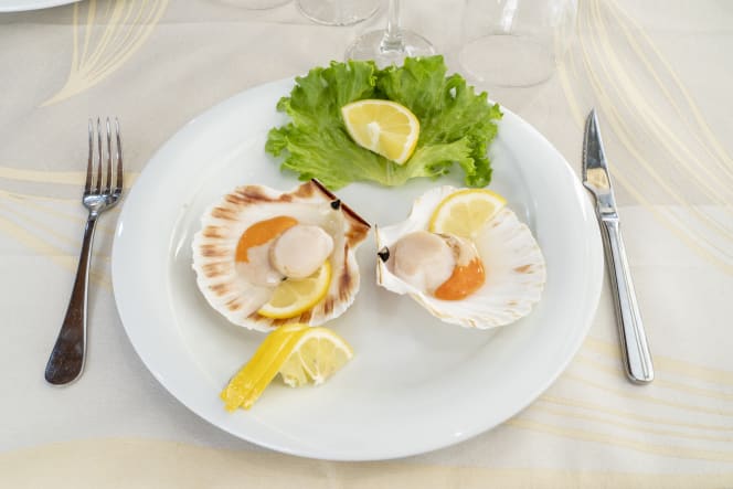 Fish e Wine - 2