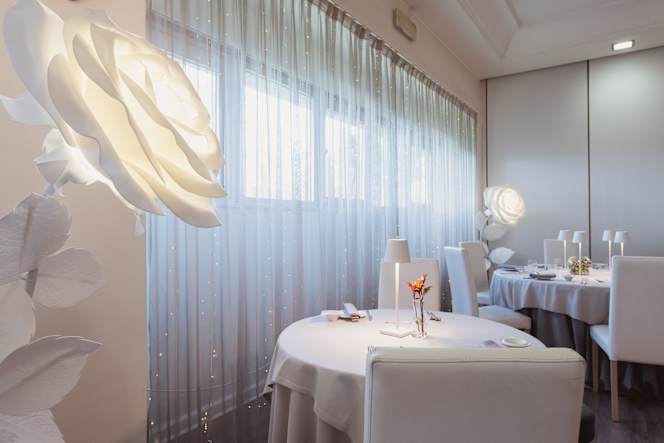 Garden Experience - 3