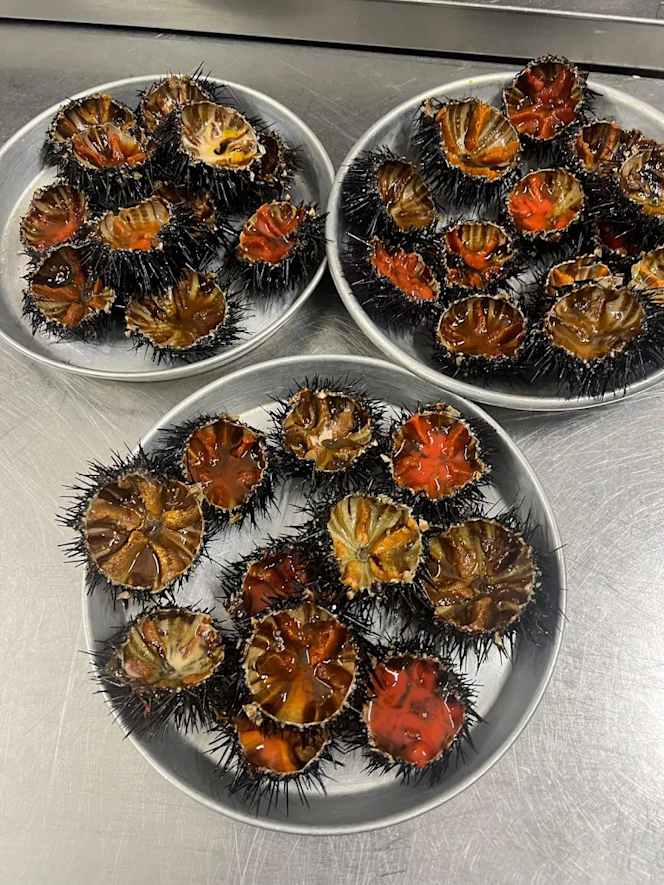 Nikale ristorante - 4