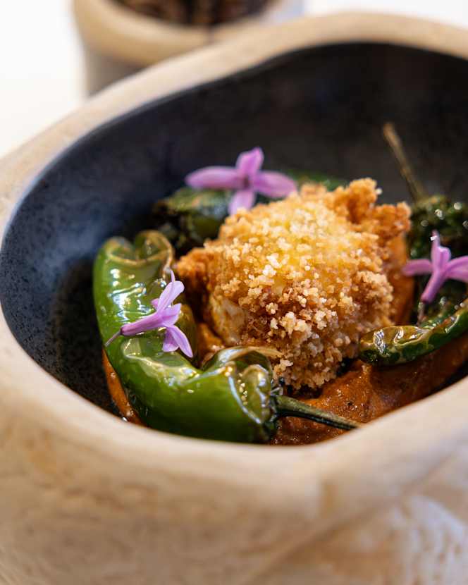 Angle des Champs - 1