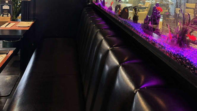 Noori Fusion - 5