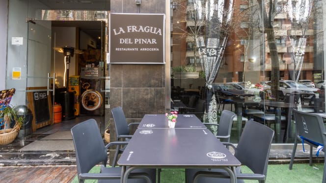 La Fragua del Pinar - 9