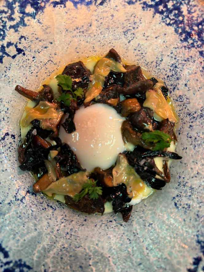 Factor Vi Sitges - 1