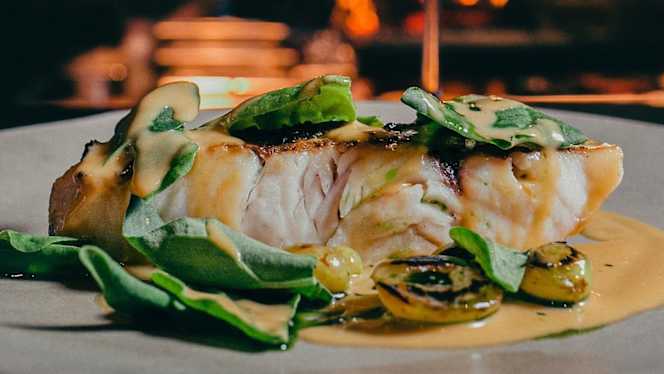 FOGO by Alexandre Silva - 2