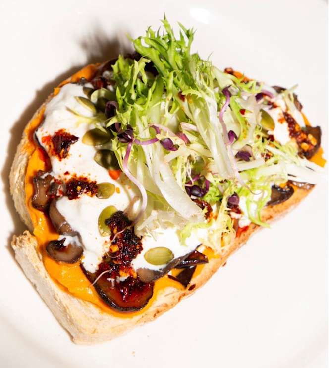 Teds Breda Sutor - 7