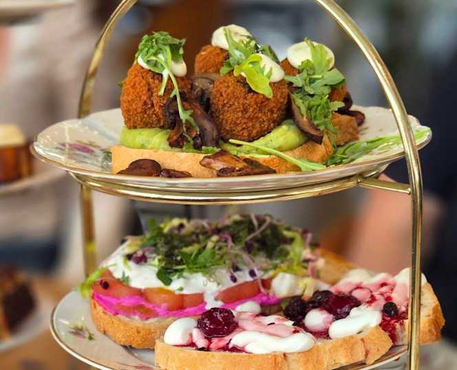 Teds Breda Sutor - 5