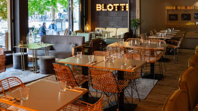 Blotti - 8