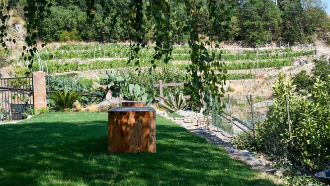 L'agriturismo PEQ Agri di Tovo - Tovo San Giacomo - 9