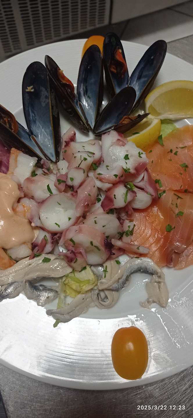 Nuevo Don Carlos - 0