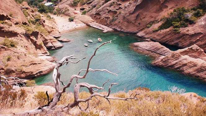 Chez Tania - La Calanque de Figuerolles - 2