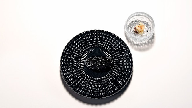 Geoelia - 2
