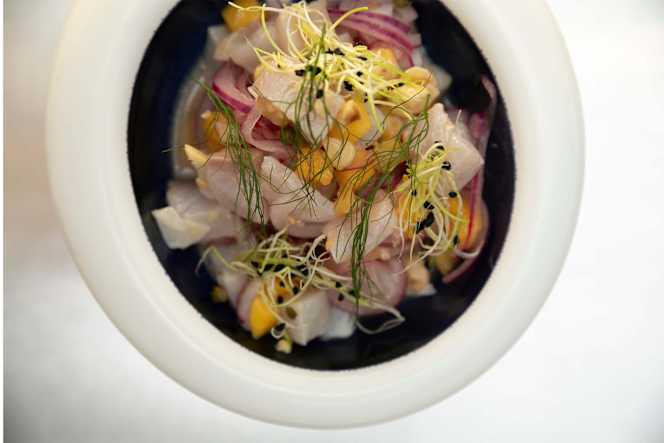 RoofTopBellavista - 9